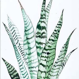 Meet your Posher, Alinda